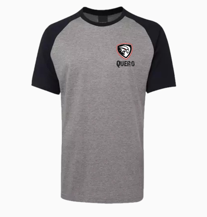 QUERO BİSİKLET YAKA RENK BLOKLU GRİ T-SHİRT